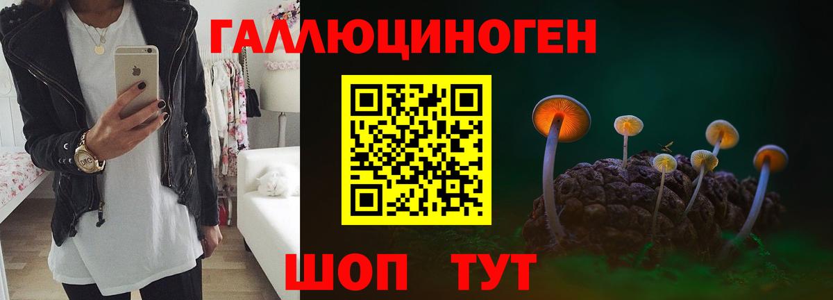 Балаково  Галлюциногенные грибы MAGIC MUSHROOMS  Вход с VPN 